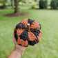 **PATTERN** Harvest Bloom Pumpkin Crochet Pattern PDF